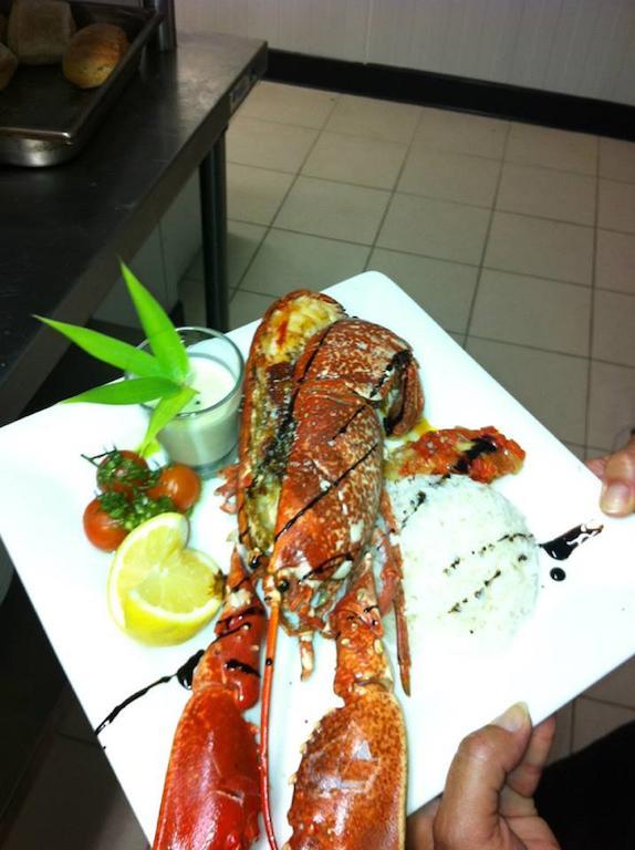 Friendly Auberge Colomiers Exterior foto